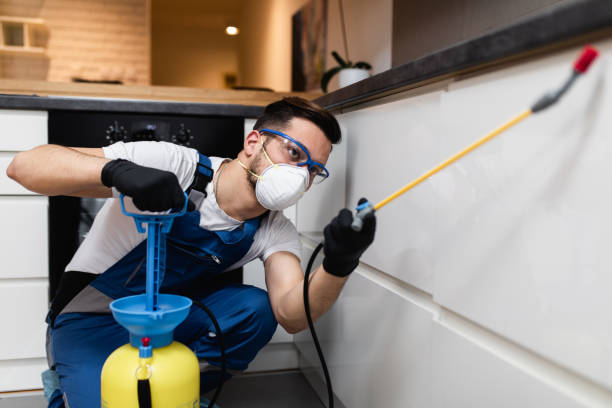 Best Commercial Pest Control Services  in Avalon, CA