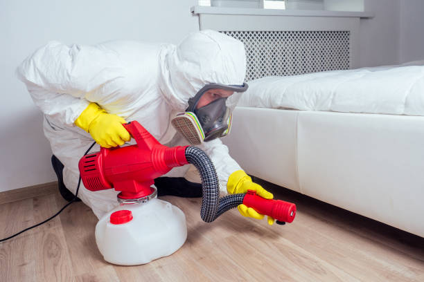 Best Mosquito Control Services  in Avalon, CA