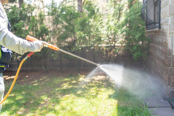 Avalon, CA Pest Control Company